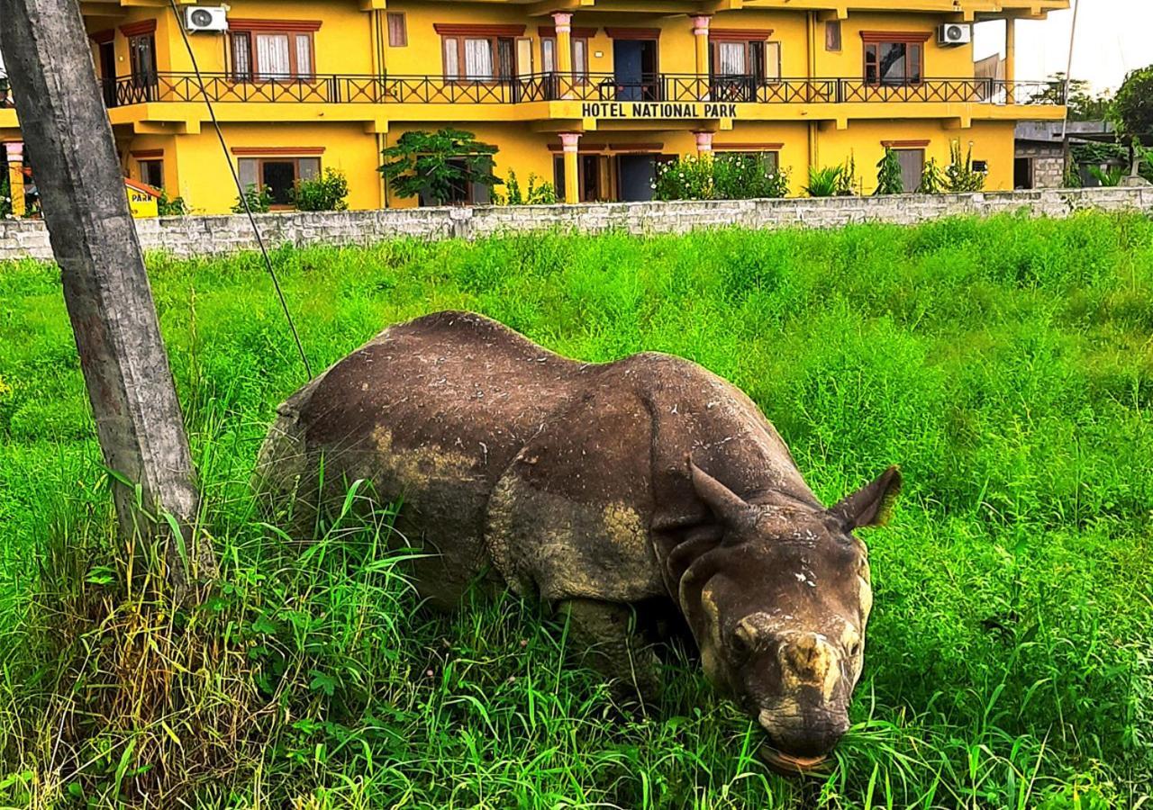 Hotel National Park Sauraha- Homely Stay And Peaceful Location With Jungle Safari Arrangements Ngoại thất bức ảnh