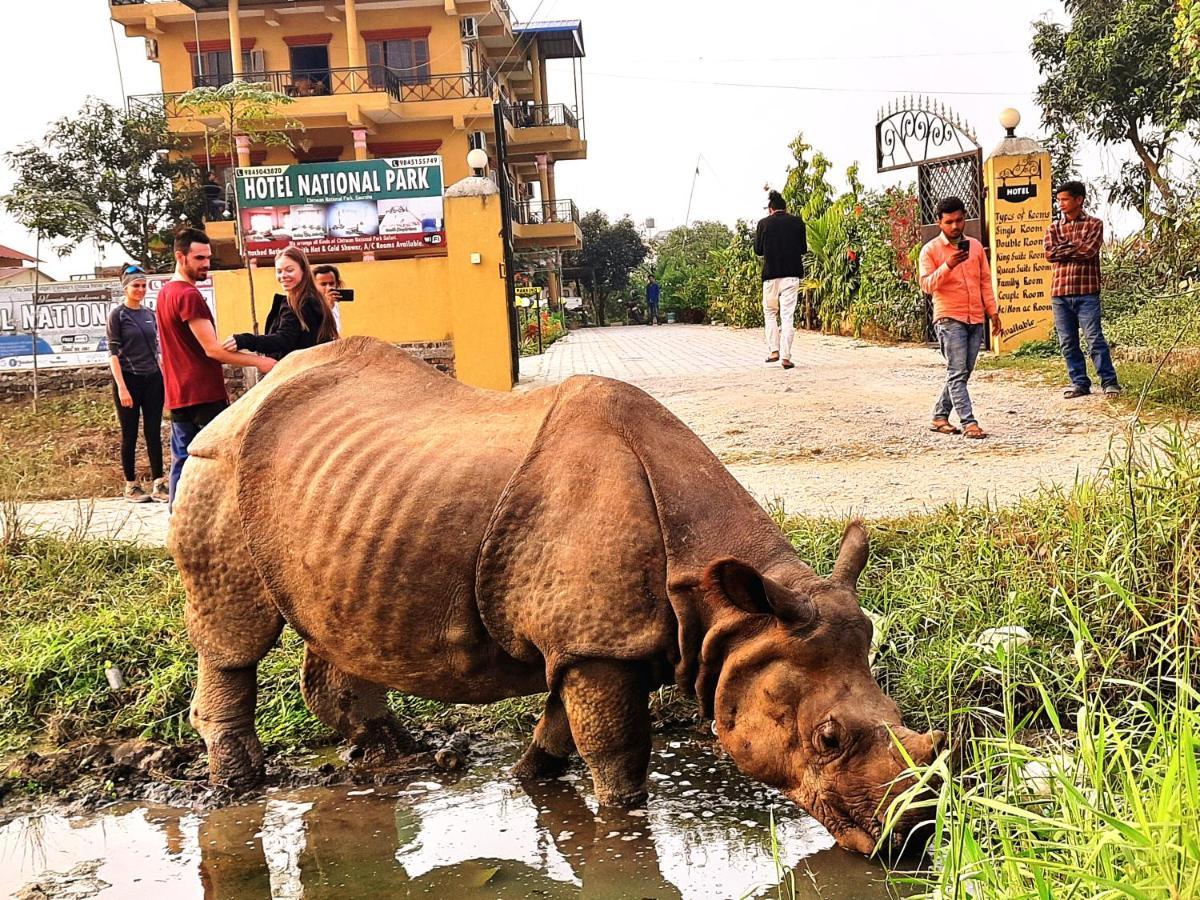 Hotel National Park Sauraha- Homely Stay And Peaceful Location With Jungle Safari Arrangements Ngoại thất bức ảnh