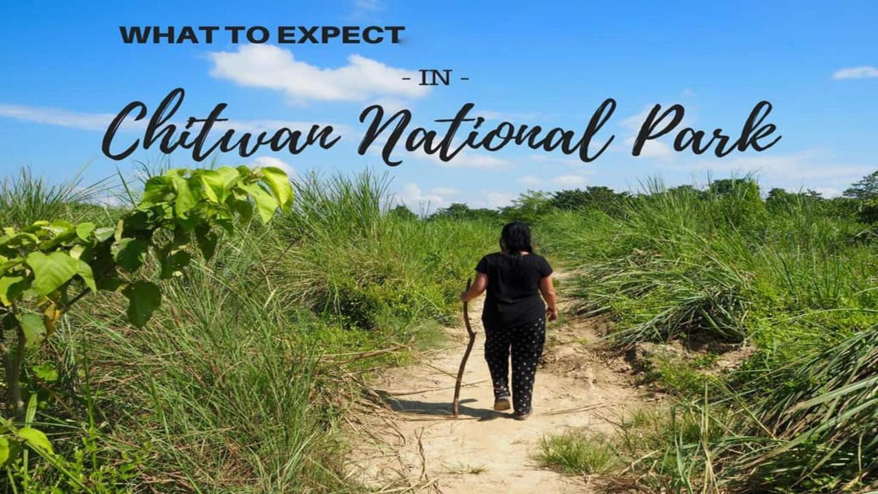 Hotel National Park Sauraha- Homely Stay And Peaceful Location With Jungle Safari Arrangements Ngoại thất bức ảnh