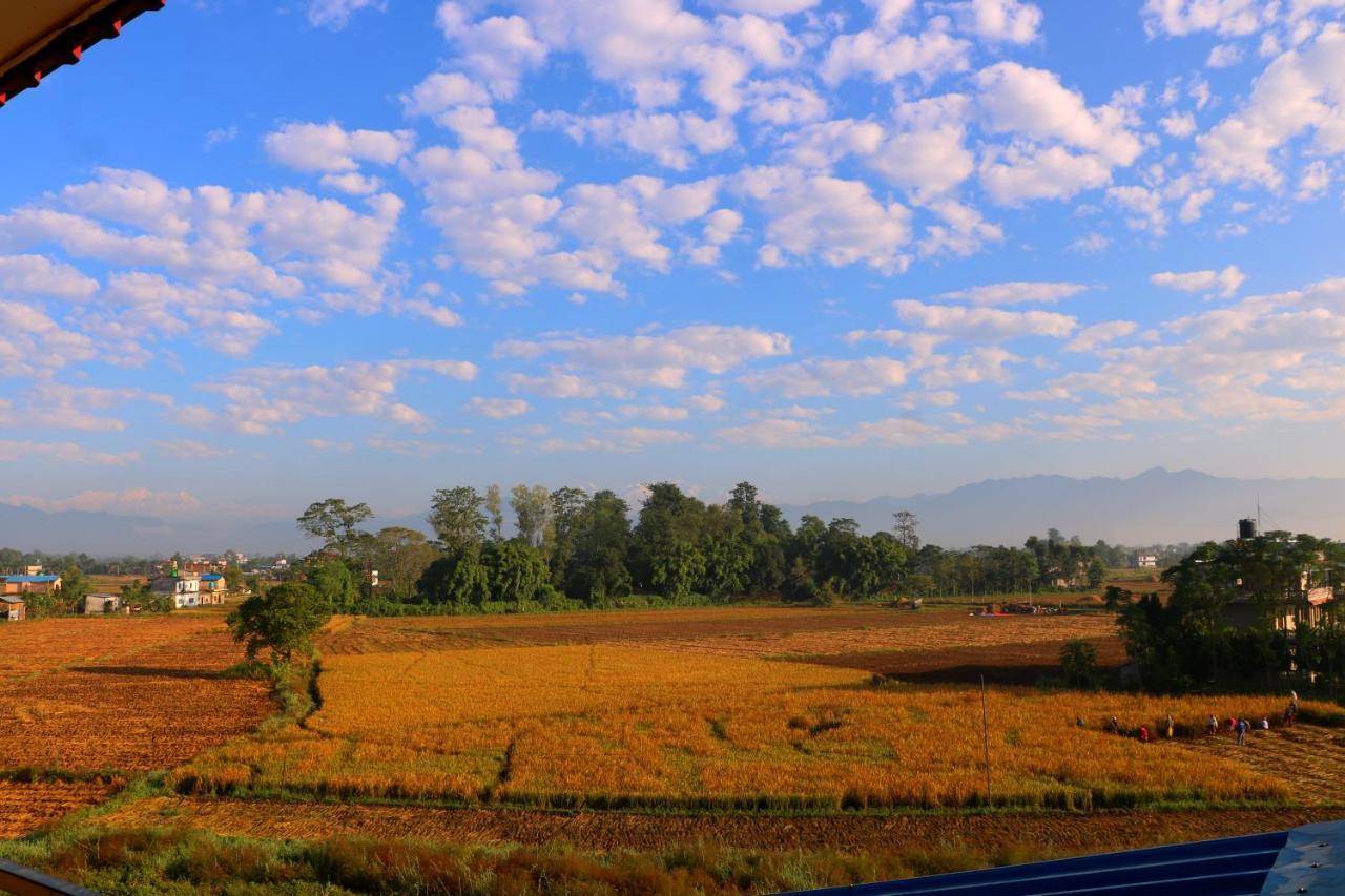 Hotel National Park Sauraha- Homely Stay And Peaceful Location With Jungle Safari Arrangements Ngoại thất bức ảnh