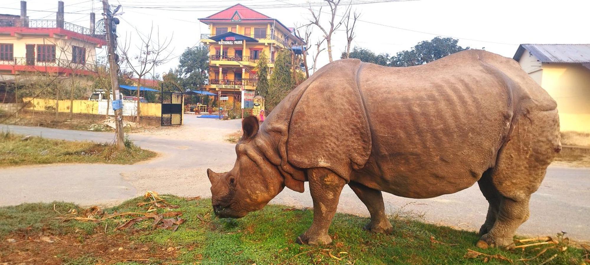 Hotel National Park Sauraha- Homely Stay And Peaceful Location With Jungle Safari Arrangements Ngoại thất bức ảnh
