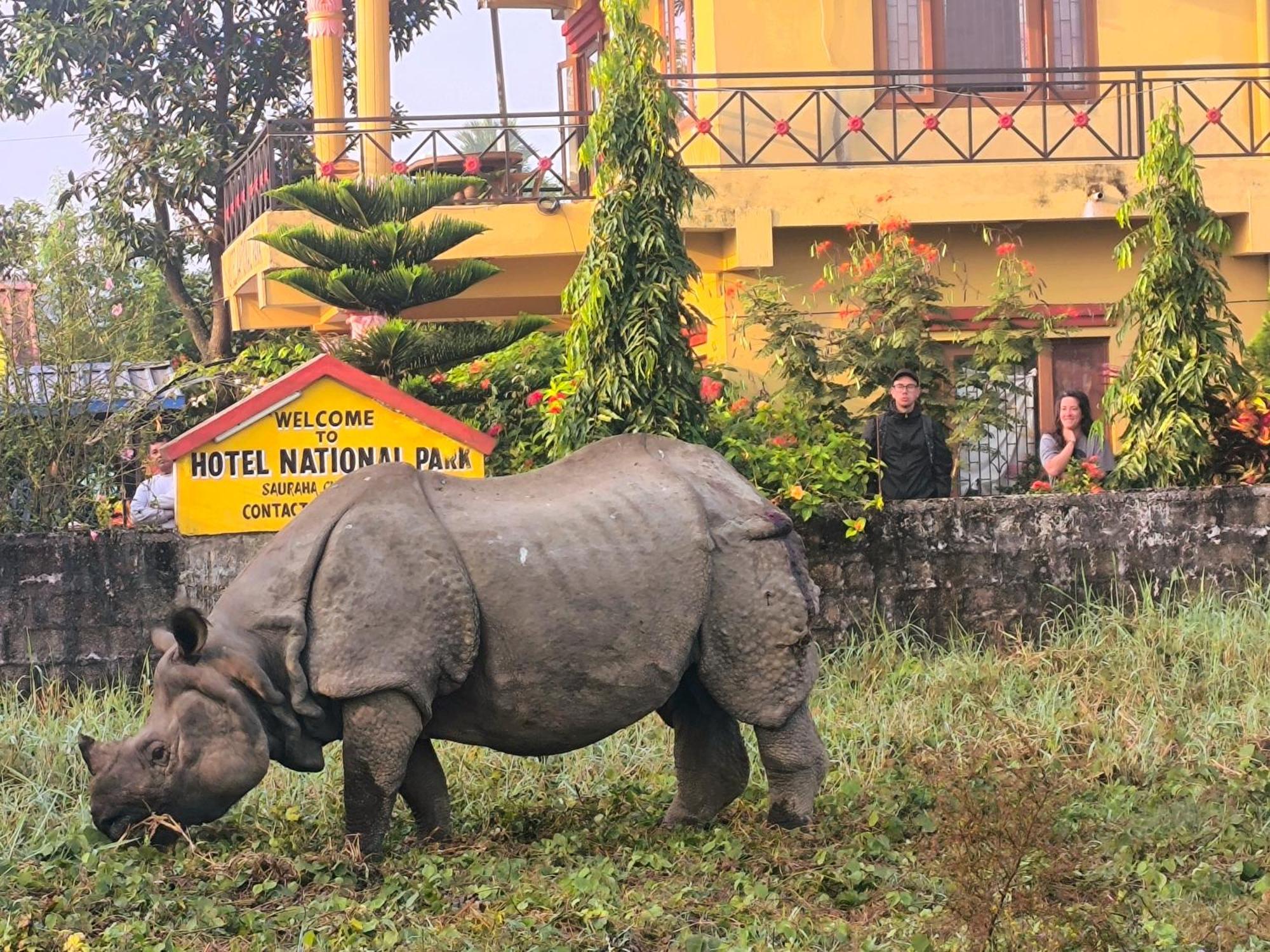 Hotel National Park Sauraha- Homely Stay And Peaceful Location With Jungle Safari Arrangements Ngoại thất bức ảnh